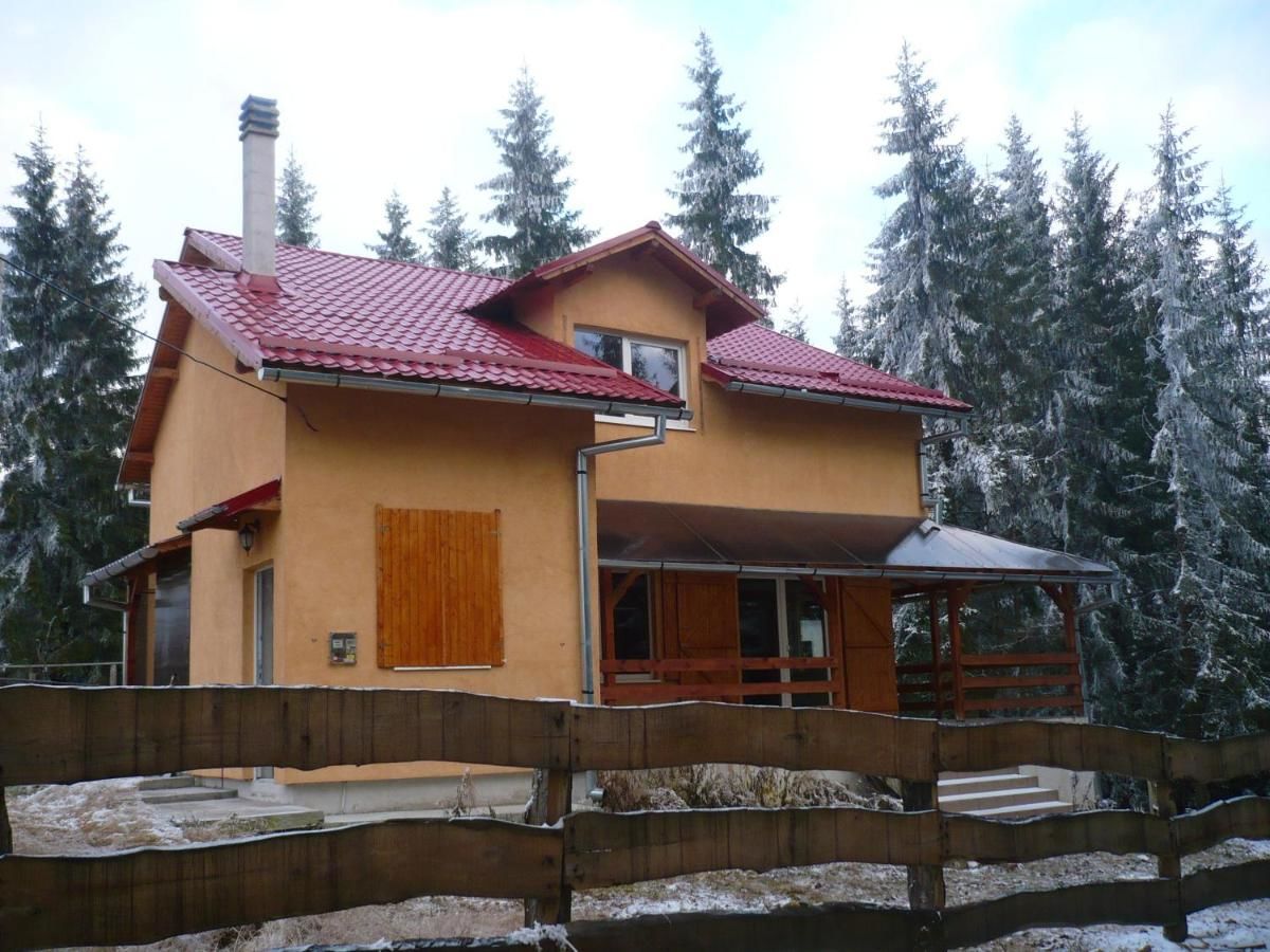 Дома для отпуска House with 4 bedrooms in Mărișel, with furnished terrace Мэришел-27