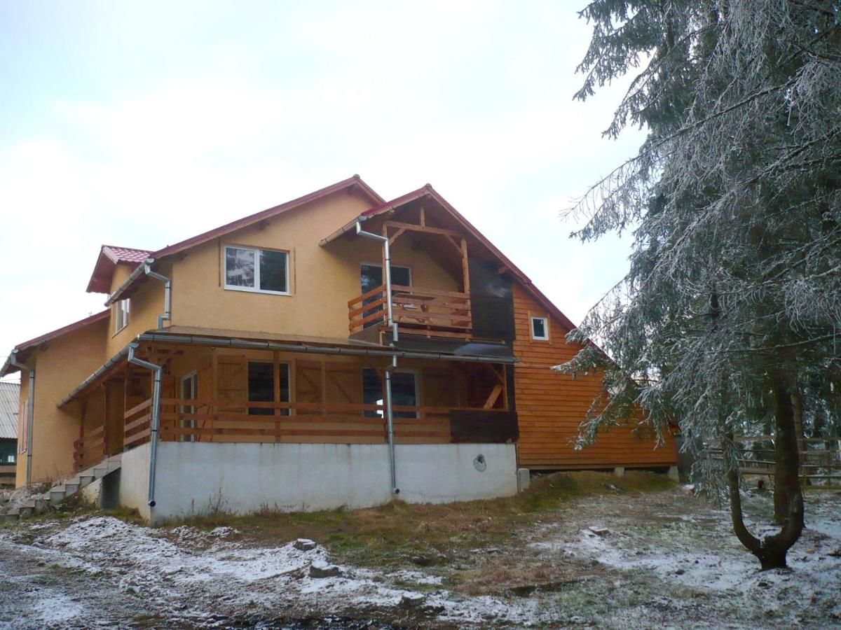 Дома для отпуска House with 4 bedrooms in Mărișel, with furnished terrace Мэришел-28