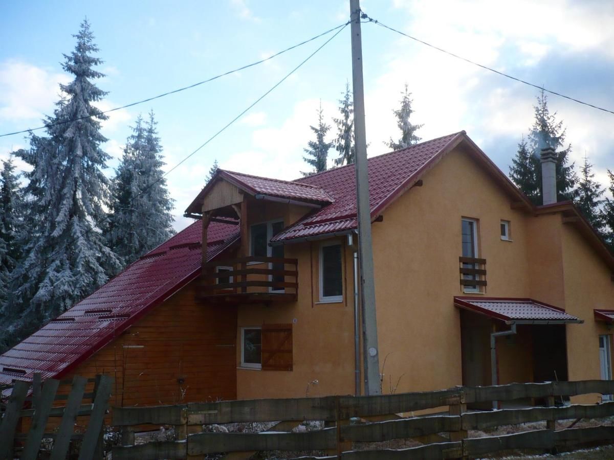 Дома для отпуска House with 4 bedrooms in Mărișel, with furnished terrace Мэришел-29