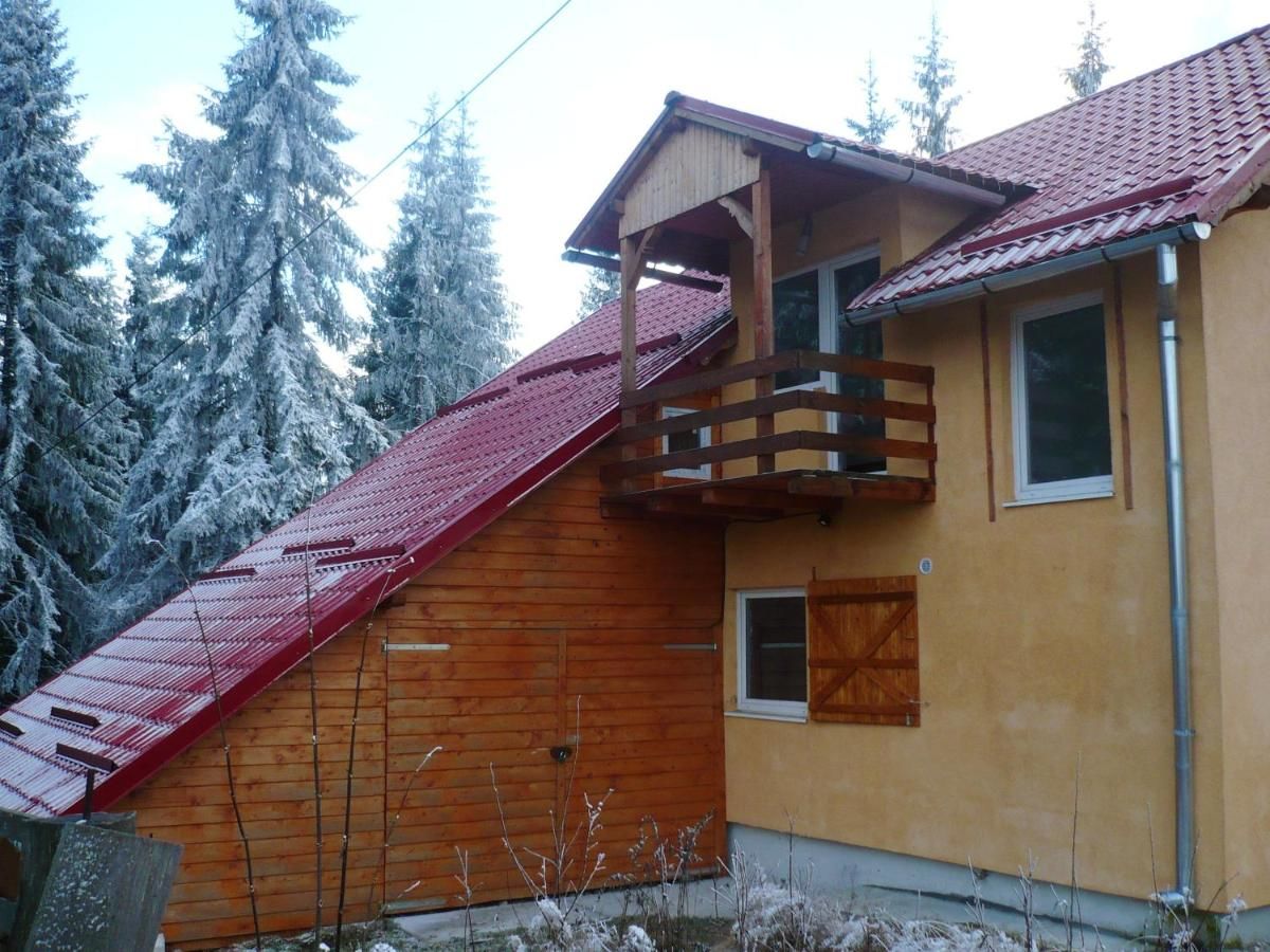 Дома для отпуска House with 4 bedrooms in Mărișel, with furnished terrace Мэришел-30