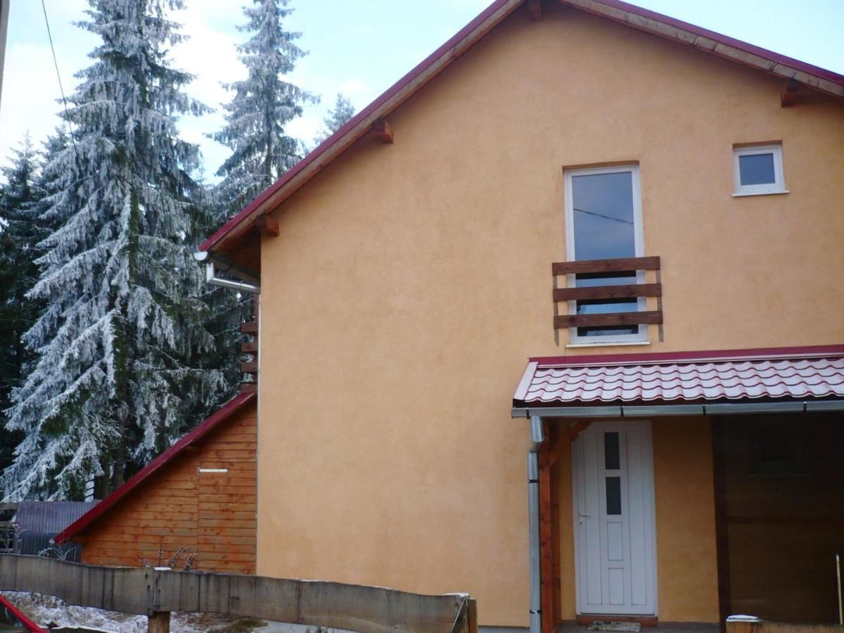 Дома для отпуска House with 4 bedrooms in Mărișel, with furnished terrace Мэришел-31