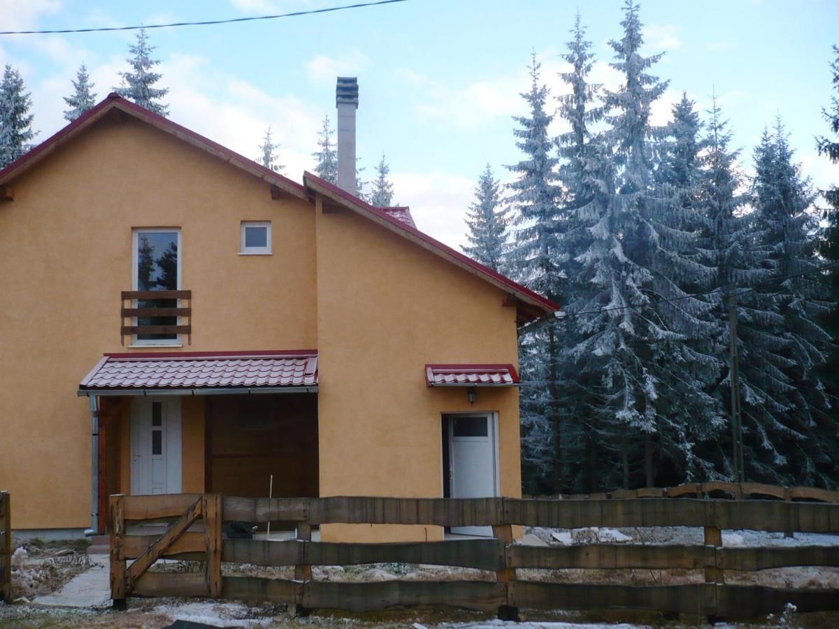 Дома для отпуска House with 4 bedrooms in Mărișel, with furnished terrace Мэришел-32